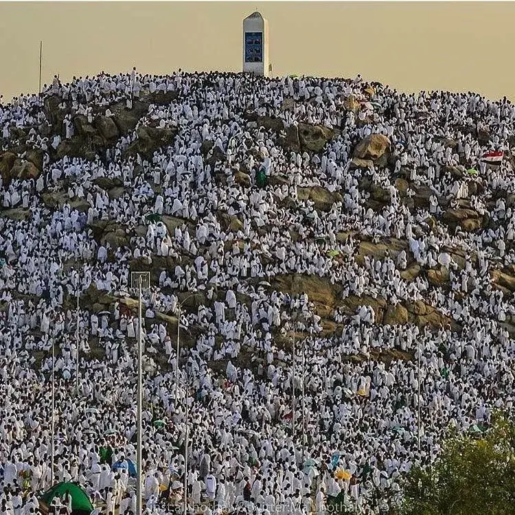 Large gathering of Hajj pilgrims on Mount Arafat near Jabal al-Rahmah